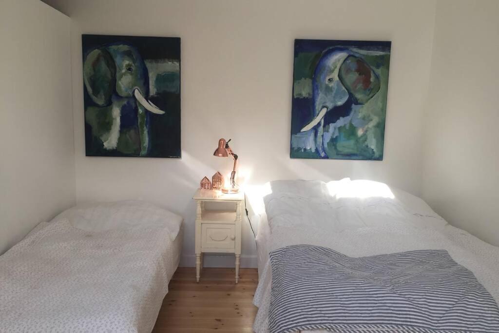 Charmerende Byhus I Praesto Centrum Exteriér fotografie