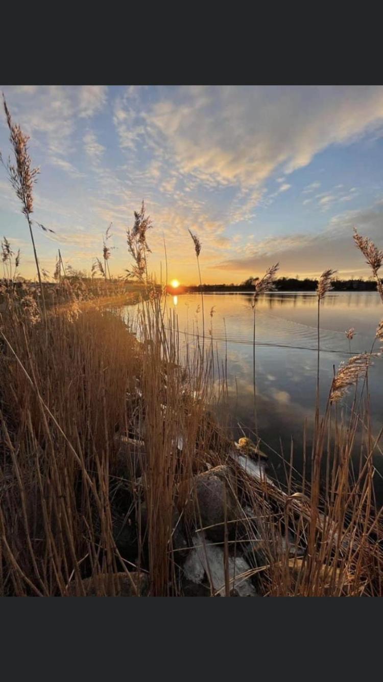 Charmerende Byhus I Praesto Centrum Exteriér fotografie